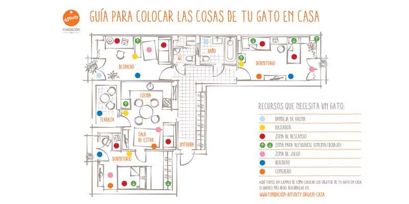 adaptar la casa a un gato
