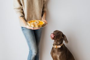 ¿Qué alimentos son perjudiciales para tu mascota?