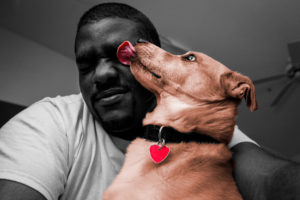 Los lametones de los perros