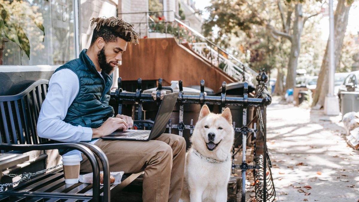 Los mejores productos online para perros