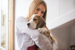 Los perros como ayuda terapéutica