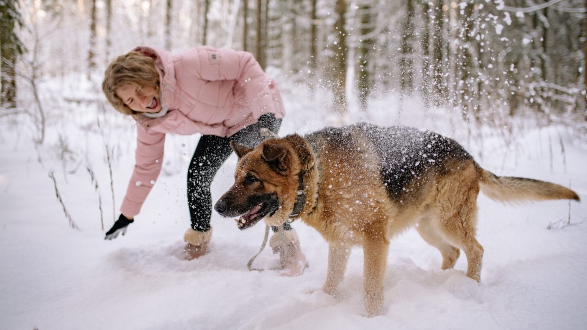 Prepara a tu perro para el invierno