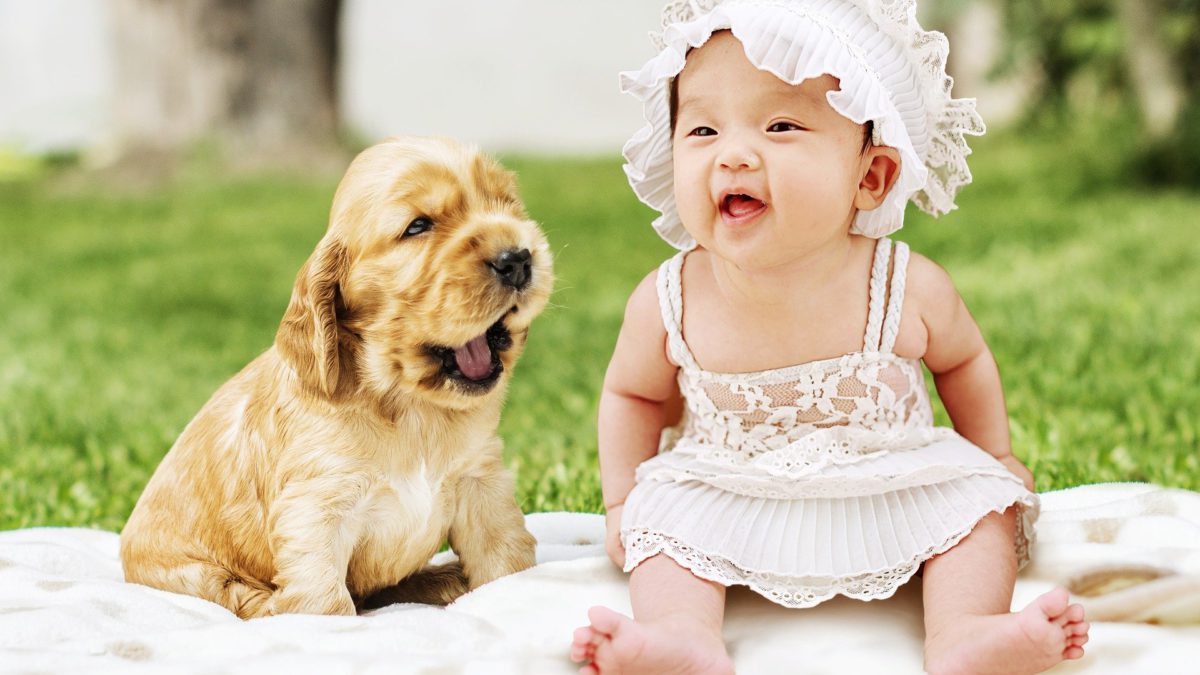 Prepara a tu perro para la llegada del bebé