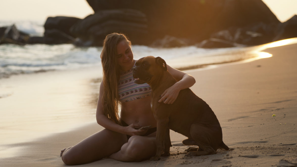 Playas dog friendly