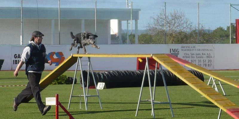 agility