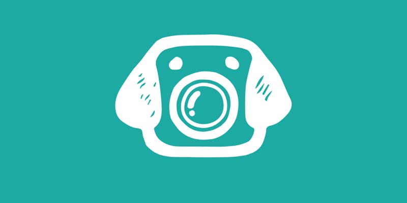 apps perfectas para perros