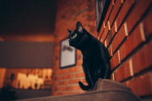 Salem