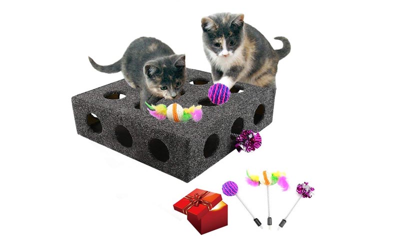caja escoge tu premio para gatos