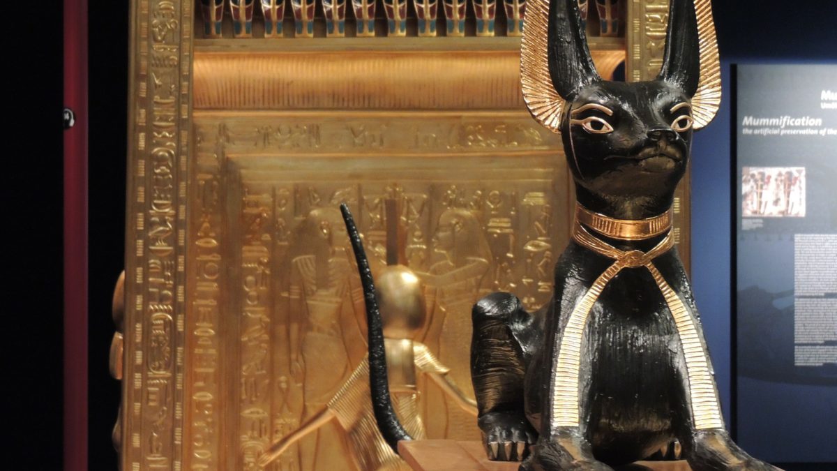 Los gatos en el Antiguo Egipto