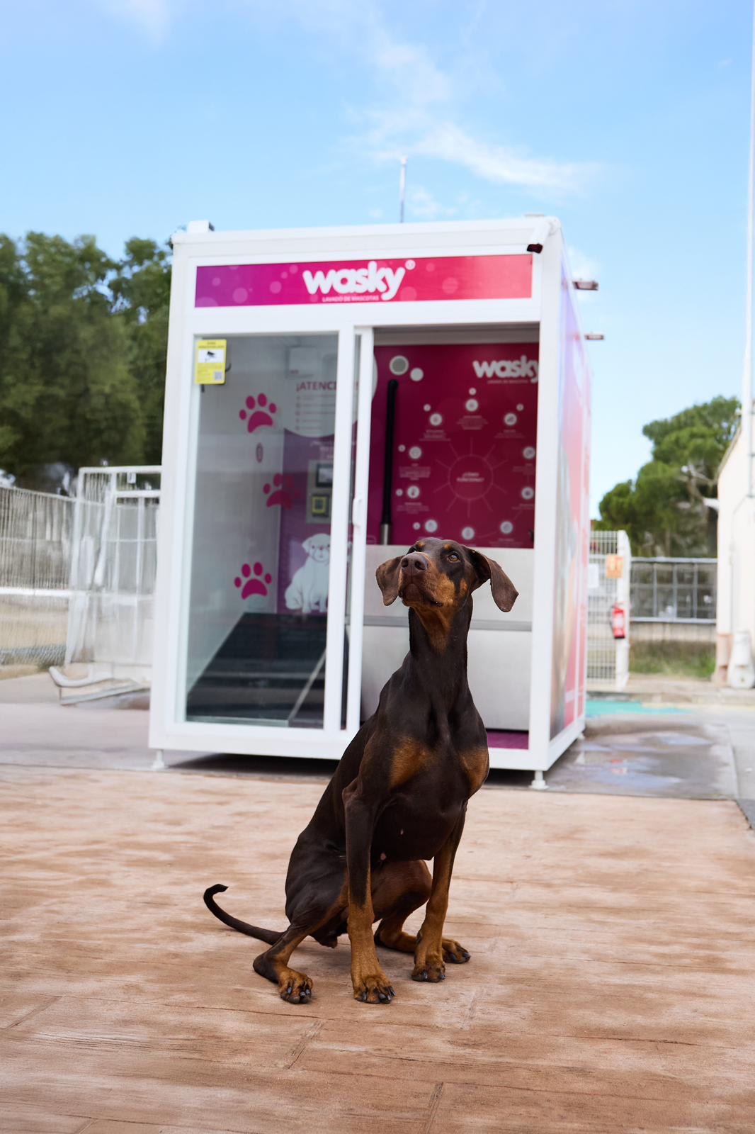 Centro Wasky