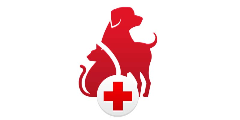 apps perfectas para perros