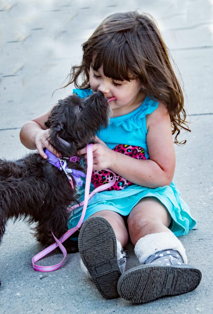 Convivencia entre niños y perros