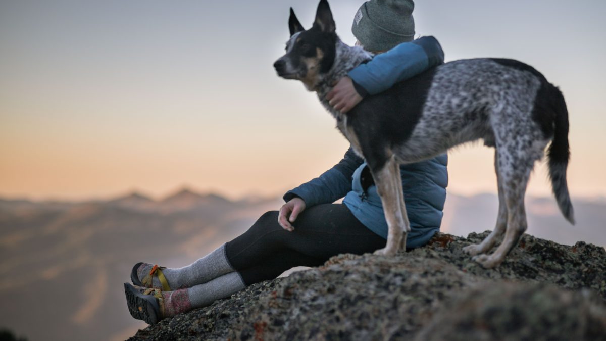 El perro eligió el bando de los humanos