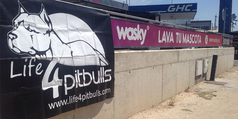 Evento life4pitbulls | Wasky