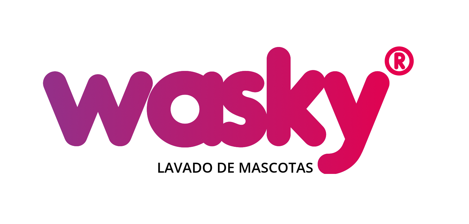 wasky-logo-header