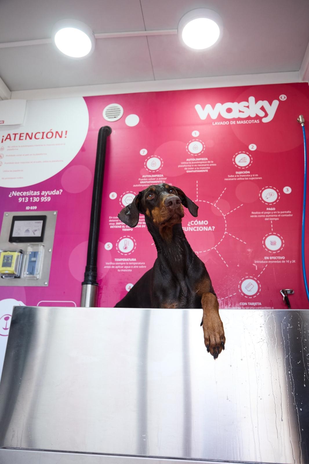 Centro Wasky
