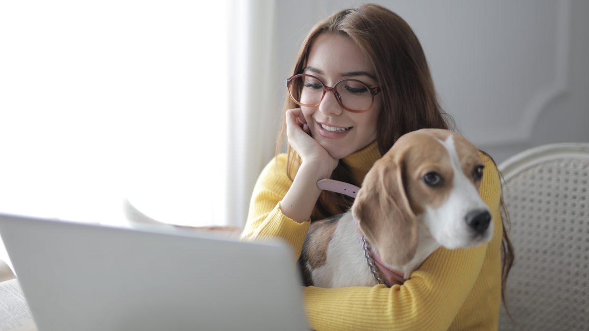 ¿Qué mascota serías?